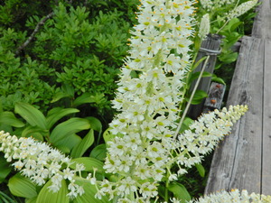 DSCN0237
