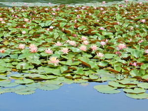DSCN0386