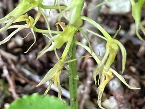 IMG_0634