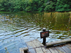 DSCN0062