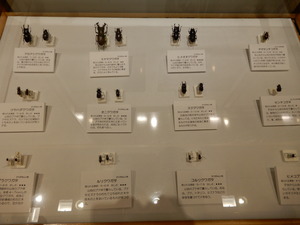 DSCN0619