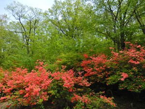 DSCN0184