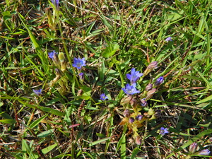 DSCN0195