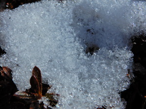 DSCN9876