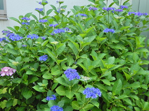 DSCN0028