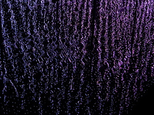 DSCN0501