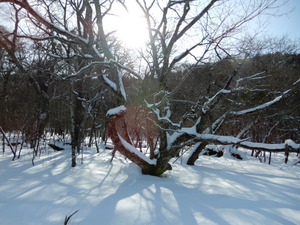 DSCN0270