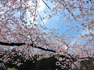 DSCN9948