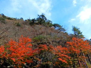 DSCN9411