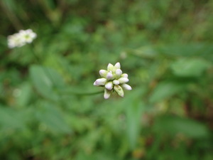 P9281280