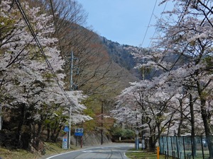 DSCN9309