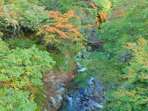 DSCN0226