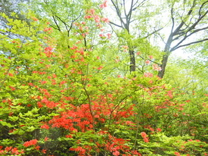 DSCN0191
