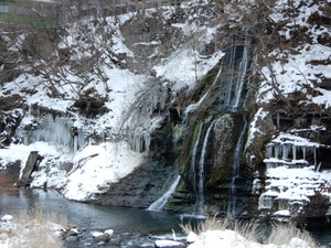DSCN9420