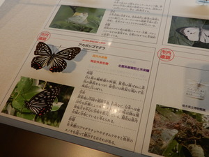 DSCN9356