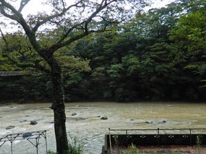 DSCN8463