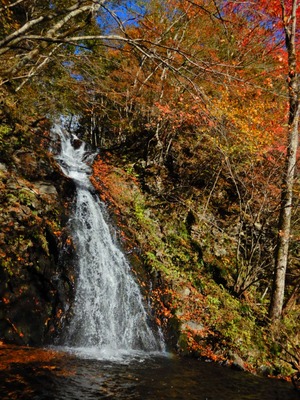 DSCN9873