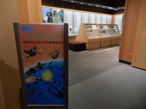 DSCN0614