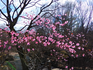 DSCN0041