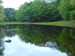 DSCN9587