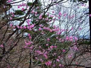 DSCN9433