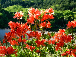 DSCN1469