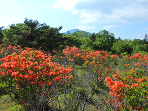 DSCN0181