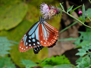 DSCN9815