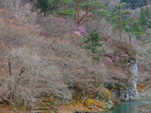 DSCN9647
