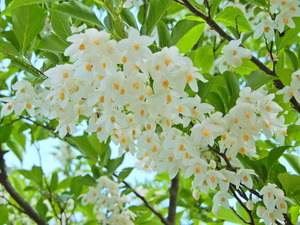 DSCN0357