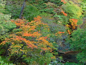 DSCN0225