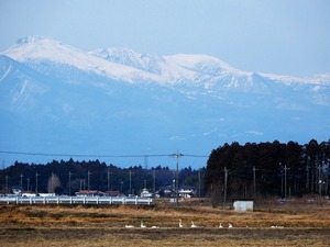 DSCN8853