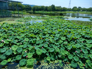 DSCN0894