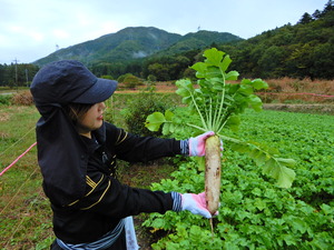 DSCN9753
