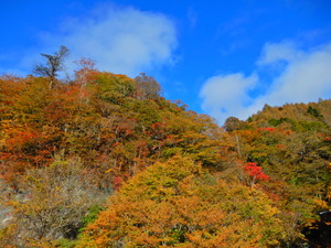 DSCN9886
