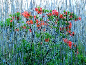 DSCN1406