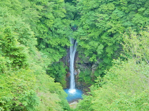 DSCN0003