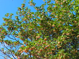 DSCN0172