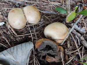 DSCN0693