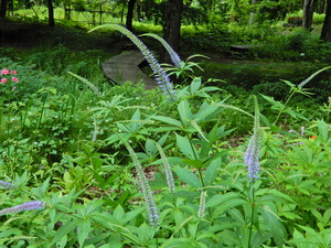 DSCN0064