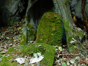 DSCN0322