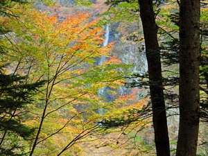 DSCN9346