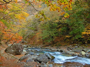 DSCN9803