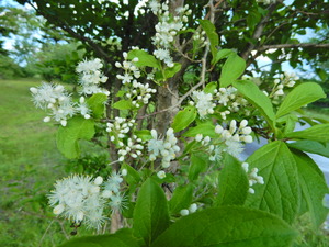 DSCN0297