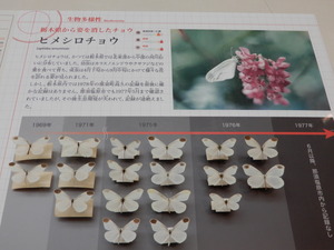 DSCN9308