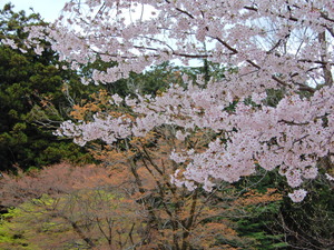 DSCN9764