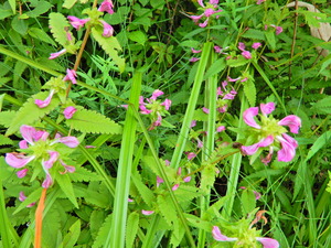 DSCN9801