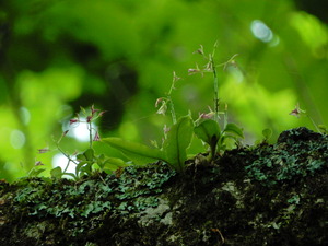 DSCN9923