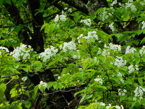 DSCN0206