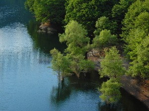 DSCN9643